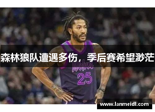 森林狼队遭遇多伤，季后赛希望渺茫