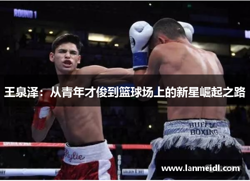 王泉泽：从青年才俊到篮球场上的新星崛起之路